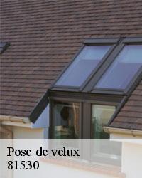 Entreprise de pose de fenêtre de toit à Saint Salvy De Carcaves 81530