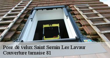 Les différents types de velux disponibles à Saint Sernin Les Lavaur