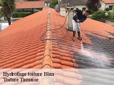Hydrofuge coloré pour toiture et tuile
