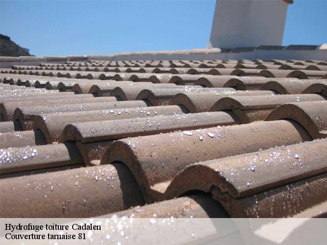 Le démoussage de la toiture d'une habitation dans la ville de Cadalen