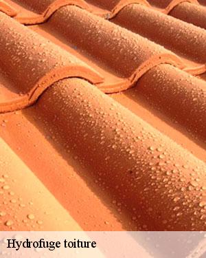 L'assurance de la solidité de la toiture par le nettoyage