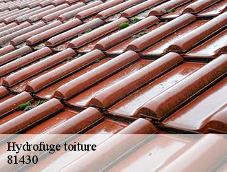 Le démoussage de la toiture d'une habitation dans la ville de Le Fraysse