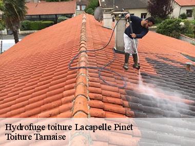 L'amélioration de l'apparence de la toiture d'une habitation par son nettoyage