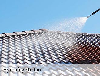 Les périodes adaptées pour faire le nettoyage de la toiture d'une maison
