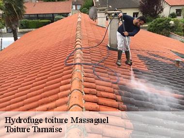 Société fiable en hydrofuge de toiture située à Massaguel