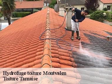 Le nettoyage de la toiture : une spécialité de Couverture tarnaise 81