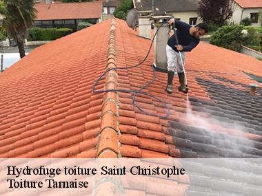 Tarif d’un service professionnel en hydrofuge de toiture