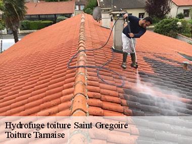 Pour quelles raisons faut-il effectuer des travaux de nettoyage de la toiture d'une maison dans le 81350?