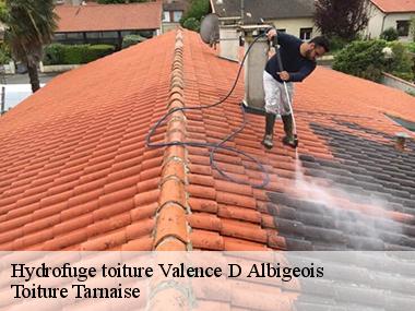 Hydrofuge coloré pour toiture et tuile