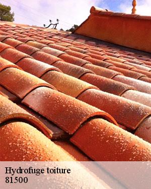  L'assurance d'une meilleure étanchéité de la toiture par son nettoyage