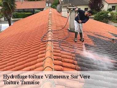 Qui peut prendre en main le nettoyage de la toiture à Villeneuve Sur Vere dans le 81130 ?