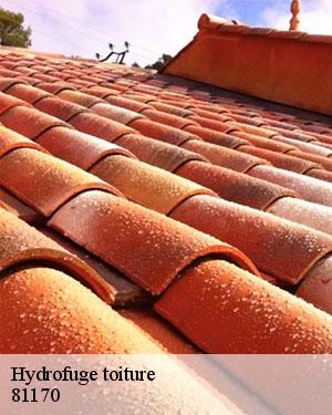L'amélioration de l'apparence de la toiture d'une habitation par son nettoyage