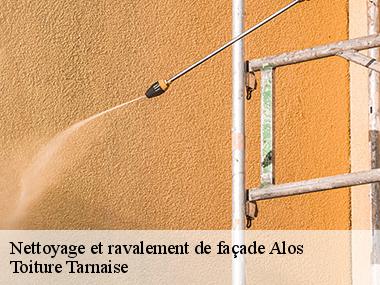 Entreprise agrée en entretien et traitement du mur extérieur à Alos