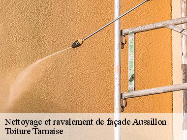 Couverture tarnaise 81: votre partenaire pour les travaux de ravalement à Aussillon