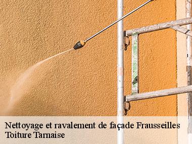 Couverture tarnaise 81: un spécialiste en peinture de mur extérieur dans toute la ville de Frausseilles