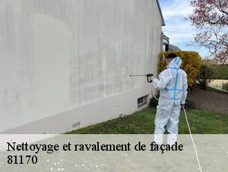 Entreprise agrée en entretien et traitement du mur extérieur à Frausseilles