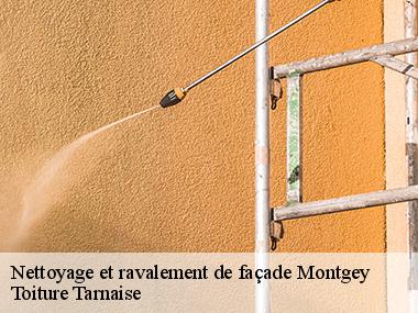 Entreprise agrée en entretien et traitement du mur extérieur à Montgey