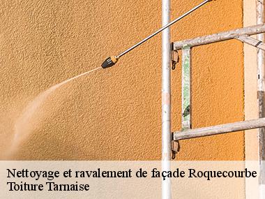 Des services de qualité et aux normes pour vos travaux de ravalement et peinture mur extérieur à Roquecourbe et ses environs