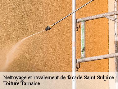 Une équipe d'artisans compétents pour vos travaux de ravalement à Saint Sulpice