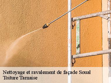 Entreprise agrée en entretien et traitement du mur extérieur à Soual