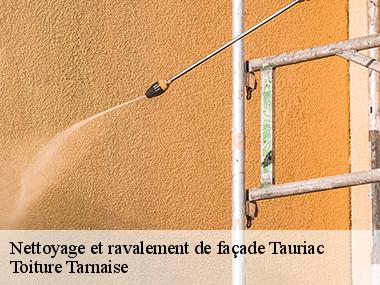 Couverture tarnaise 81: un spécialiste en peinture de mur extérieur dans toute la ville de Tauriac