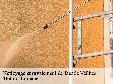 Des peintures de qualité pour vos murs extérieurs à Veilhes et ses environs