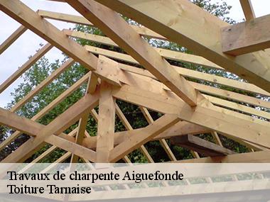 Qui peut prendre en charge les entretiens de la charpente dans la ville de Aiguefonde ?