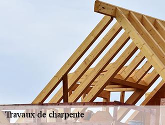  La construction d'une nouvelle charpente dans la ville de Albi