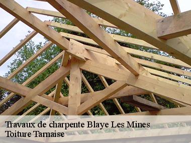  Le devis des travaux de charpente à Blaye Les Mines dans le 81400