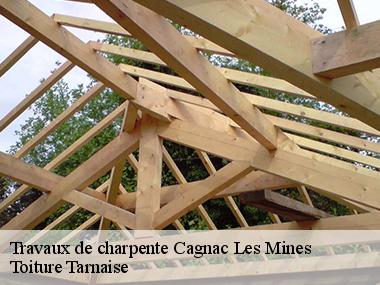 Les raisons de faire confiance à Couverture tarnaise 81 pour faire les travaux de charpente
