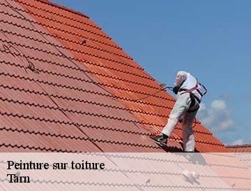 Le choix de votre peinture toiture dans le 81 : une étape importante