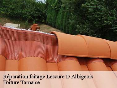 Toiture Tarnaise peut appliquer la méthode traditionnelle pour réparation faitage à Lescure D Albigeois
