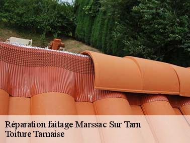 Réparation faitage à Marssac Sur Tarn 81150