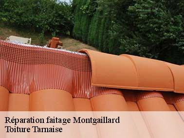 Pourquoi remettre votre projet de réparation faitage à Montgaillard entre les mains de Toiture Tarnaise ?