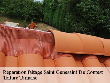 Réparation faitage d’une toiture en pente : notre spécialité
