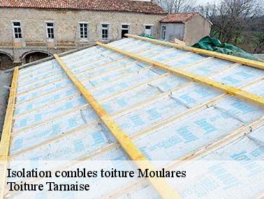 Toiture Tarnaise spécialiste en isolation de combles à Moulares avec la laine de roche