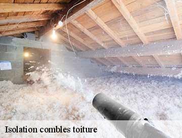 Toiture Tarnaise spécialiste en isolation de combles à Soreze avec la laine de roche