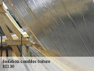 Notre tarif isolation combles toiture à Taix 81130