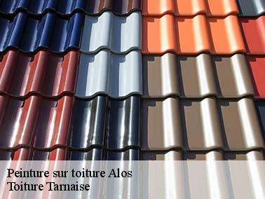 Le choix de votre peinture toiture à Alos : une étape importante