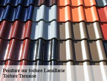 Toiture Tarnaise peut aussi raviver la couleur du toit avec de la résine polyuréthane