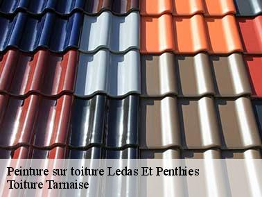 Toiture Tarnaise peut aussi raviver la couleur du toit avec de la résine polyuréthane