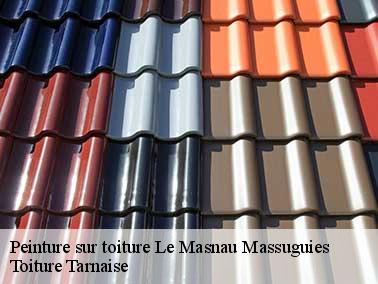 Le processus d’une peinture toiture à Le Masnau Massuguies 81530