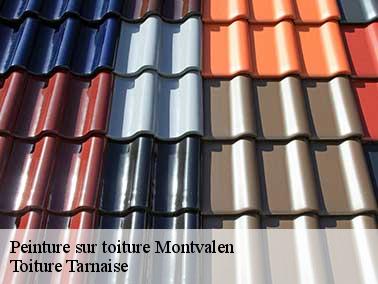 Travaux de peinture toiture à Montvalen