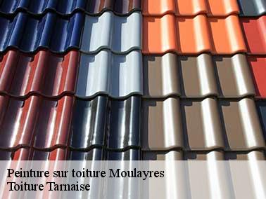 Couvreur pas cher pour peinture toiture à Moulayres 81300