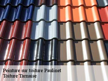 Couvreur pas cher pour peinture toiture à Paulinet 81250