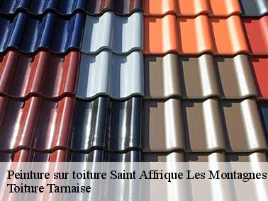 Les bonnes raisons de faire peindre son toit