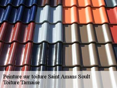 Toiture Tarnaise : un couvreur pour peinture toiture à Saint Amans Soult sur qui vous pouvez compter