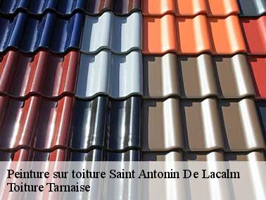 Le prix peinture toiture de l’entreprise Toiture Tarnaise