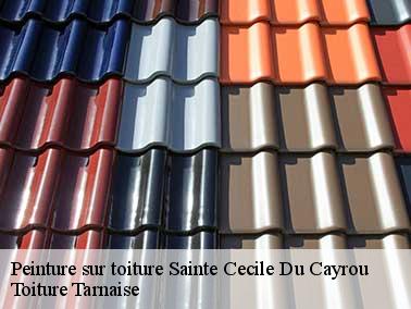 Les qualifications de nos artisans pour peinture toiture