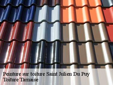Pourquoi vous fier à l’artisan peinture toiture Toiture Tarnaise ?